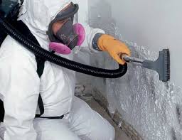 Best Mold Prevention Services  in Lampeter, PA